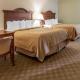Quality Inn & Suites at Dollywood Lane Pigeon Forge - Photo 6