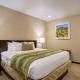 The Hotel at Sunland Park Casino El Paso, an Ascend Collection Hotel, El Paso (fotografie 3)