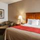 Comfort Inn & Suites Davenport - Quad Cities - Foto 8