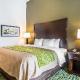 Comfort Inn & Suites Moore - Oklahoma City, Moore (photo 4)
