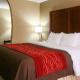 Comfort Inn & Suites Leeds I-20, Leeds (fotografie 3)