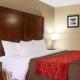 Comfort Inn & Suites Leeds I-20, Leeds (fotografie 4)