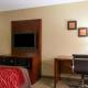 Comfort Inn & Suites Leeds I-20, Leeds (fotografie 6)