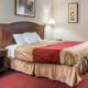 Econo Lodge, Holland (photo 7)