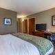 Comfort Inn & Suites - Harrisburg Airport - Hershey South Middletown - Photo 5