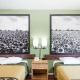 Super 8 by Wyndham Independence KS, Independence (foto 7)