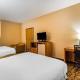 Quality Inn & Suites Chesterfield Village Springfield - Fotografie 4