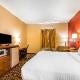 Quality Inn & Suites Chesterfield Village Springfield - Fotografie 10