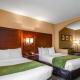 Comfort Suites at Woodbridge, Авенел (фото 10)