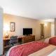 Comfort Inn & Suites Sidney I-80, Sidney (zdjęcie 3)