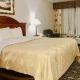 Quality Inn, Tucumcari (foto 3)
