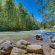 Big Bear River Retreat, Rhododendron (fotografie 5)