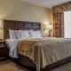 Comfort Inn & Suites Farmington - Victor, Farmington (foto 8)