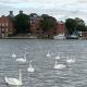 Swan View, Oulton Broad, Lowestoft - Foto 10