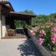 Podere Battegone, Maestrello (photo 10)