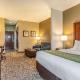 Comfort Inn & Suites Tuscumbia-Muscle Shoals, Tuscumbia (photo 9)
