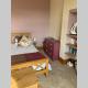 Hilltop Cottage, Thropton (Foto 6)