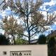 Vila FAN Confort, Vişeu de Sus - Fotografie 4