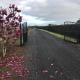 Self Contained Cottage Pukekohe, Auckland - Fotografie 3