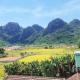Applebee's Homestay, Phong Nha (foto 7)