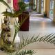 Kurhotel Pyramide Bad Windsheim, Bad Windsheim (zdjęcie 5)