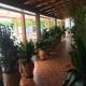 Hotel Antonio Conil, Conil de la Frontera (Foto 4)