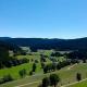 Landgasthof Jostalstüble, Titisee-Neustadt - Foto 6