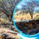 Ann's Lodge & Camping, Kamanjab (фото 9)