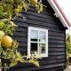 't Schouws Uusje, Burgh-Haamstede (Foto 8)