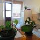 Apartman KIKA, Sombor (foto 6)