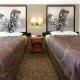 Super 8 by Wyndham Clayton, Clayton (foto 4)