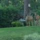 120 Winding Meadow by Vacation Rentals for You, Monument (foto 5)