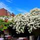 The Jenny Lind, Hastings (foto 9)