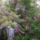 The Hideaway at Duffryn Mawr Self Catering Cottages, Cowbridge (foto 8)