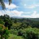 Supercostarica, Grecia (foto 5)