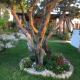 Villa Edo, Cala Liberotto - Foto 6