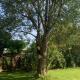 The Hideaway at Duffryn Mawr Self Catering Cottages, Cowbridge (foto 6)