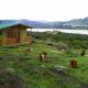 Cabaña San Martin Guatavita - Foto 4