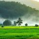 Baan Sin Suk, Chiang Rai (foto 3)