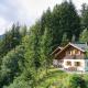 Waldhütte Panorama - Tschengla by A-Appartments, Bürserberg (fotografie 2)