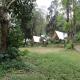 Lawu Forest Camp, Sarangan (fotografie 3)