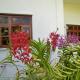 Orchid Sunset Guest House