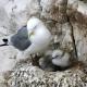 Happy Days Holidays, Flamborough (fotografie 6)