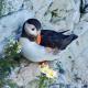 Happy Days Holidays, Flamborough (fotografie 3)