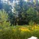Zarevo Glamping, Skobelevo (zdjęcie 9)
