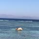 Moudy’s House, Dahab - Foto 9