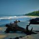 White Shell Beach House, Kannur - Φωτογραφία 10