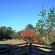 In The Oaks, Three Rivers (foto 6)
