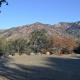 In The Oaks, Three Rivers (foto 8)