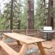 99 Yosemite Mountain Lodge, Wawona (fotografie 2)